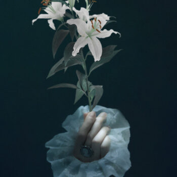 Rremix image album vegetal
