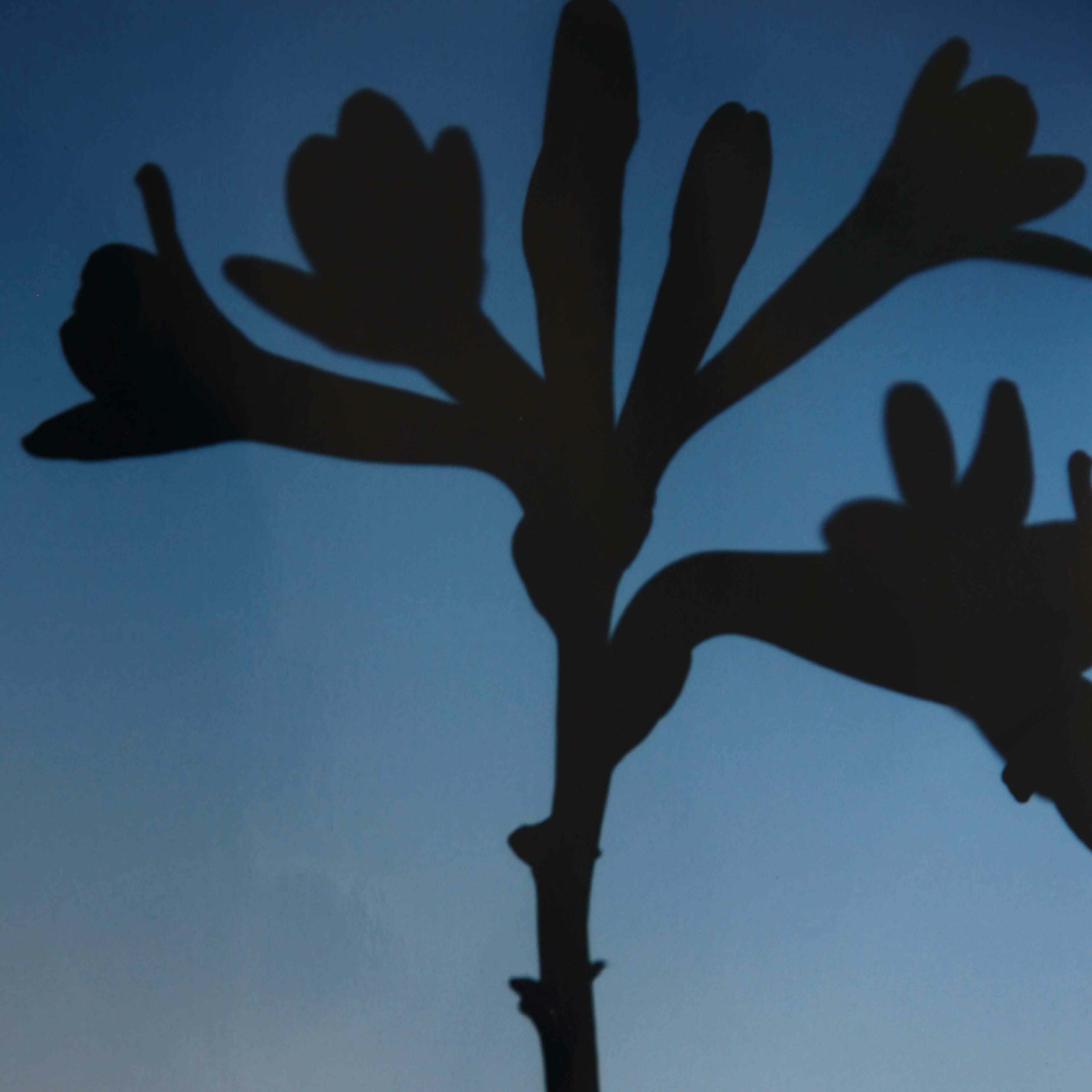 Arcane_Marque_Fichier_Impression