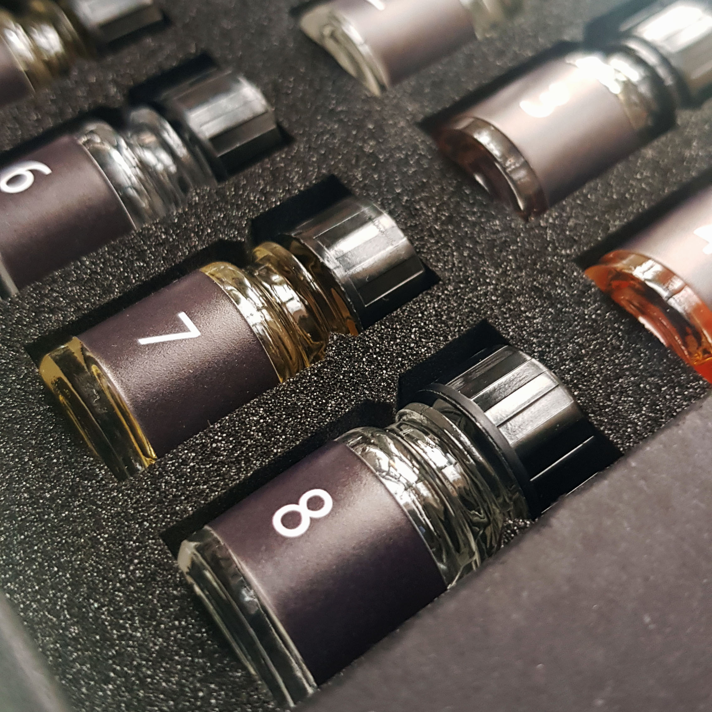 Black magic box_coffret_8_ANIMALIC