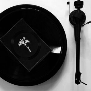 LILITH L’EXPÉRIENCE